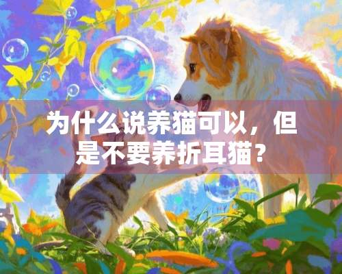 为什么说养猫可以，但是不要养折耳猫？