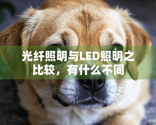 光纤照明与LED照明之比较，有什么不同