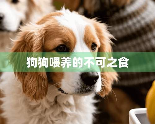 狗狗喂养的不可之食