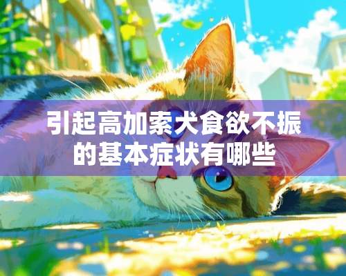 引起高加索犬食欲不振的基本症状有哪些