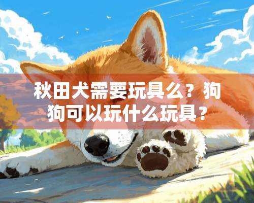 秋田犬需要玩具么？狗狗可以玩什么玩具？