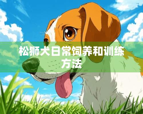 松狮犬日常饲养和训练方法