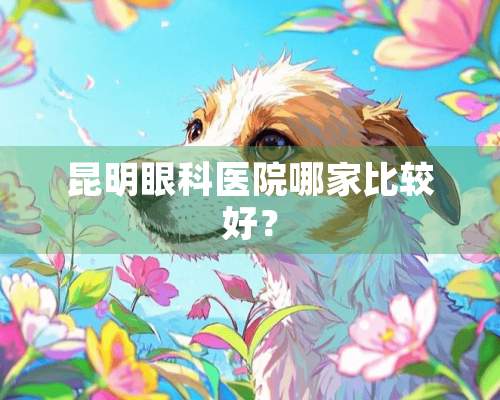 昆明眼科医院哪家比较好？