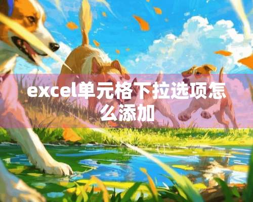 excel单元格下拉选项怎么添加