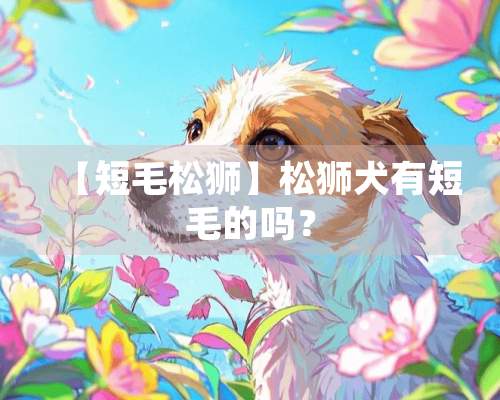 【短毛松狮】松狮犬有短毛的吗？