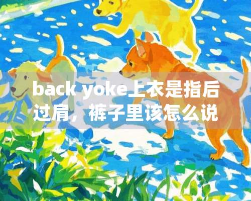 back yoke上衣是指后过肩，裤子里该怎么说呢？