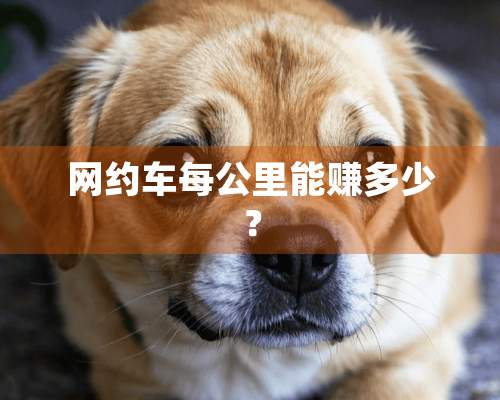 网约车每公里能赚多少？