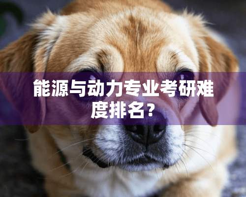 能源与动力专业考研难度排名？