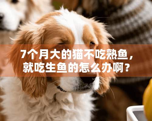 7个月大的猫不吃熟鱼，就吃生鱼的怎么办啊？