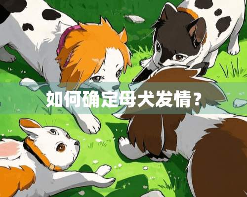 如何确定母犬**？