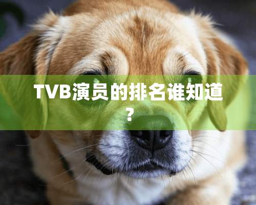 TVB演员的排名谁知道？