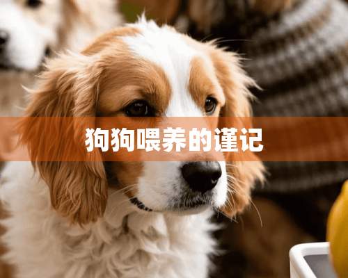 狗狗喂养的谨记