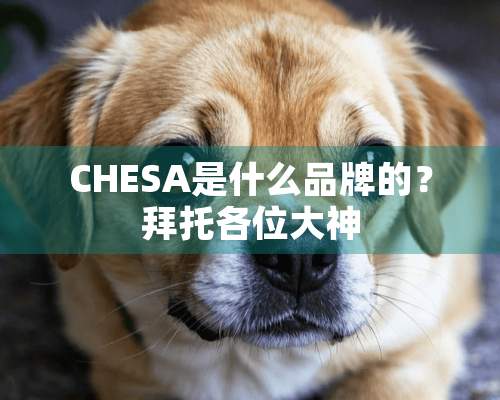 CHESA是什么品牌的？拜托各位大神