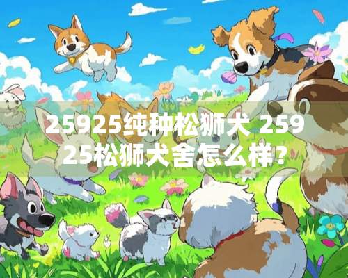 25925纯种松狮犬 25925松狮犬舍怎么样？