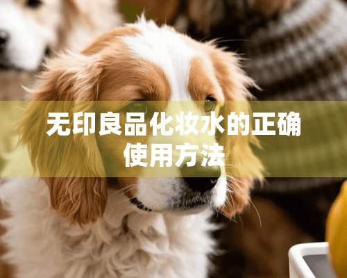 无印良品化妆水的正确使用方法