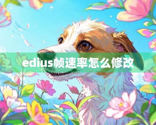 edius帧速率怎么修改