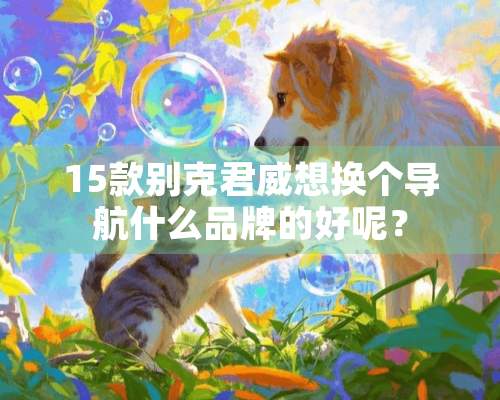 15款别克君威想换个导航什么品牌的好呢？