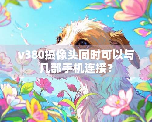 v380**头同时可以与几部手机连接？