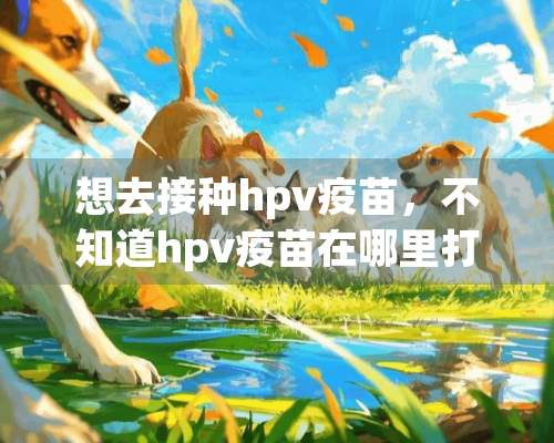 想去接种hpv**，不知道hpv**在哪里打？