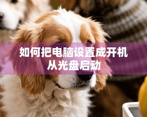 如何把电脑设置成开机从光盘启动