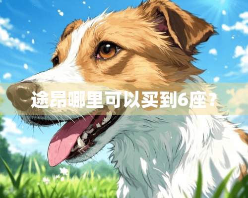 途昂哪里可以买到6座？