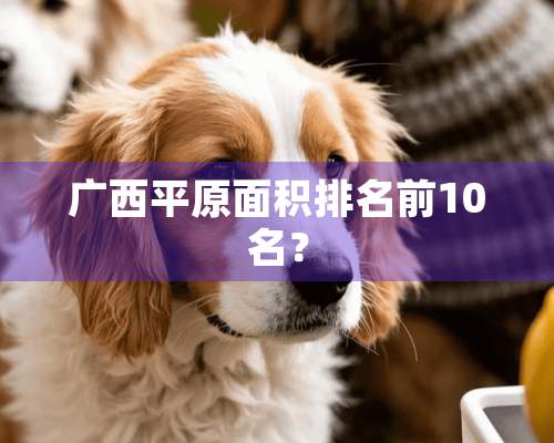 广西平原面积排名前10名？