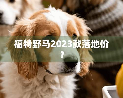 福特野马2023款落地价？