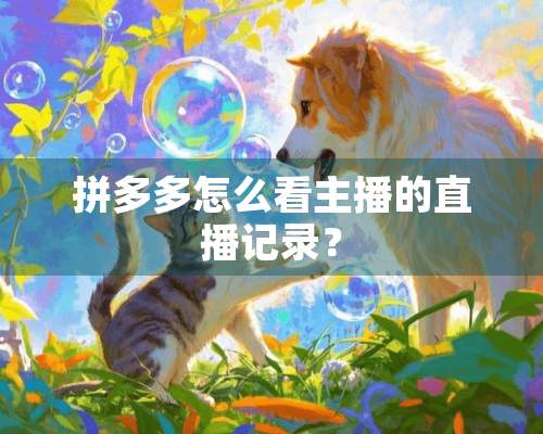 拼多多怎么看主播的直播记录？