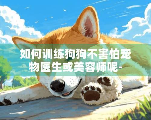 如何训练狗狗不害怕宠物医生或美容师呢-