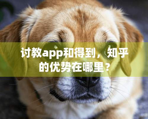 讨教app和得到，知乎的优势在哪里？