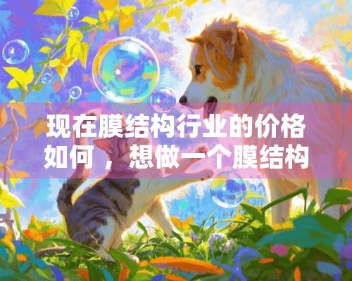 现在膜结构行业的价格如何 ，想做一个膜结构车棚，不知道有哪家公司实力比较强