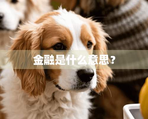 金融是什么意思？