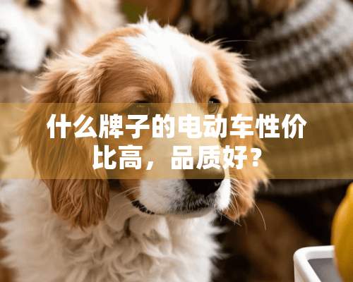 什么牌子的电动车性价比高，品质好？