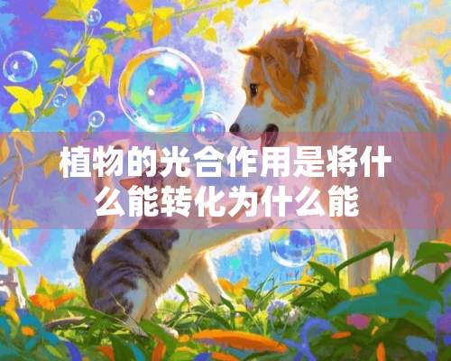 植物的光合作用是将什么能转化为什么能