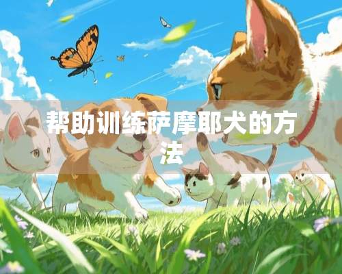 帮助训练萨摩耶犬的方法