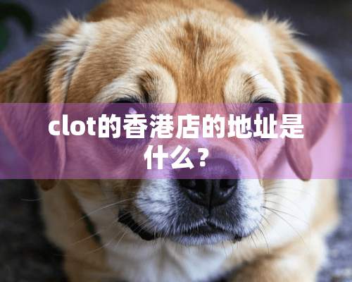 clot的香港店的地址是什么？