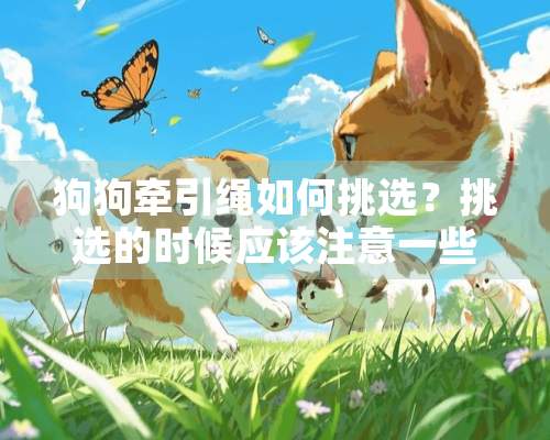 狗狗牵引绳如何挑选？挑选的时候应该注意一些什么？