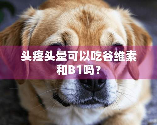 头疼头晕可以吃谷维素和B1吗？