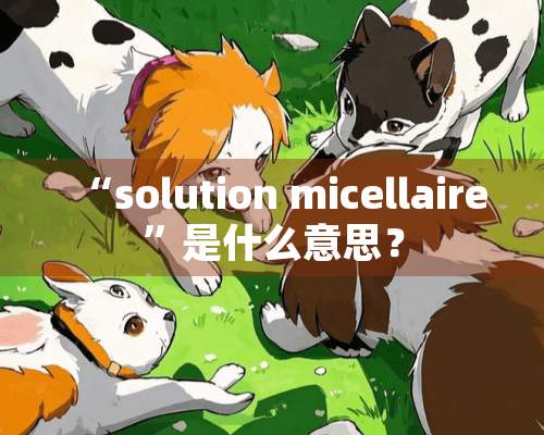 “solution micellaire”是什么意思？