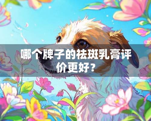 哪个牌子的祛斑*膏评价更好？