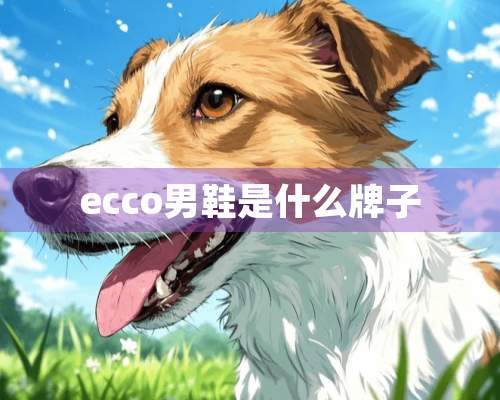 ecco男鞋是什么牌子