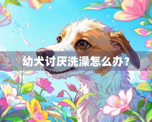 幼犬讨厌洗澡怎么办？