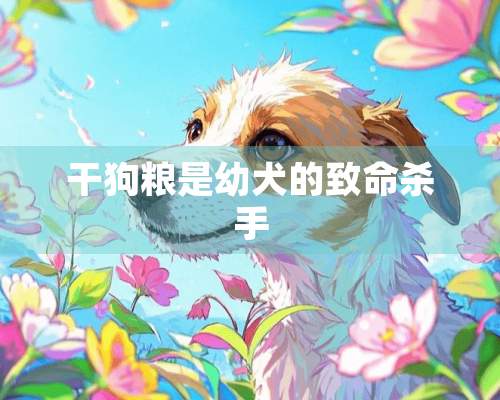 干狗粮是幼犬的致命**