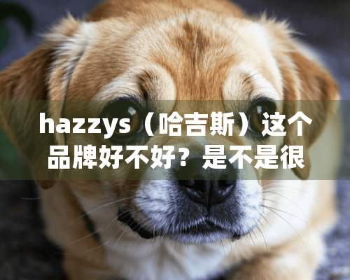 hazzys（哈吉斯）这个品牌好不好？是不是很贵？风格有点像衣恋的？