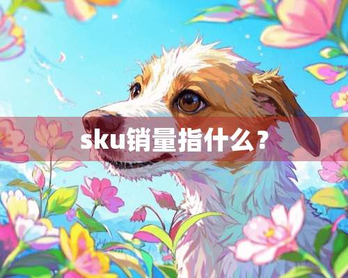 sku销量指什么？