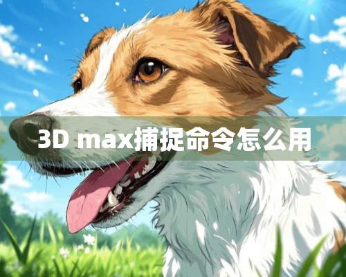 3D max捕捉命令怎么用