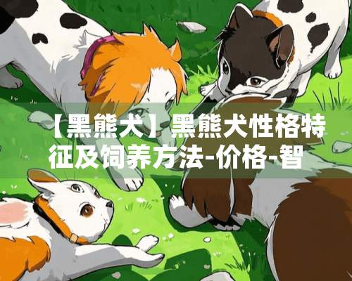 【黑熊犬】黑熊犬性格特征及饲养方法-价格-智商