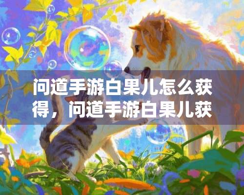 问道手游白果儿怎么获得，问道手游白果儿获得？