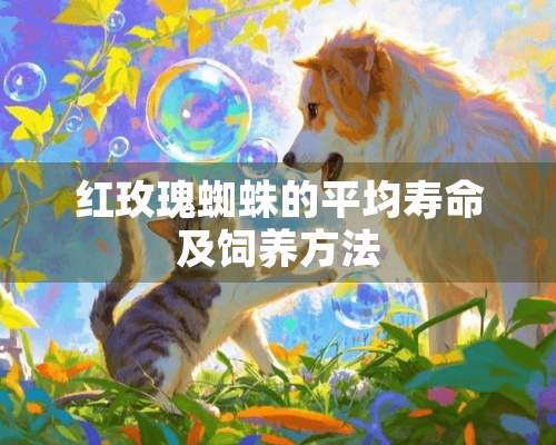 红玫瑰蜘蛛的平均寿命及饲养方法