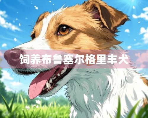 饲养布鲁塞尔格里丰犬